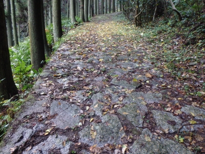 長﨑街道冷水峠の石畳の写真です