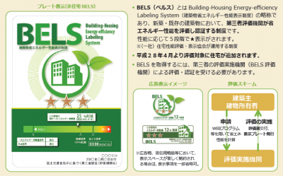 BELSの表示イメージです。