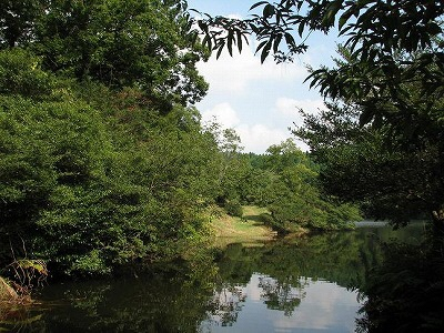 セラピーロード内にある湖の風景