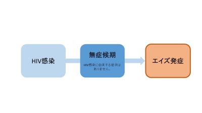 HIVに感染しても、すぐにエイズを発症するわけではありません。