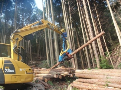 高性能林業機械による造材の写真です。
