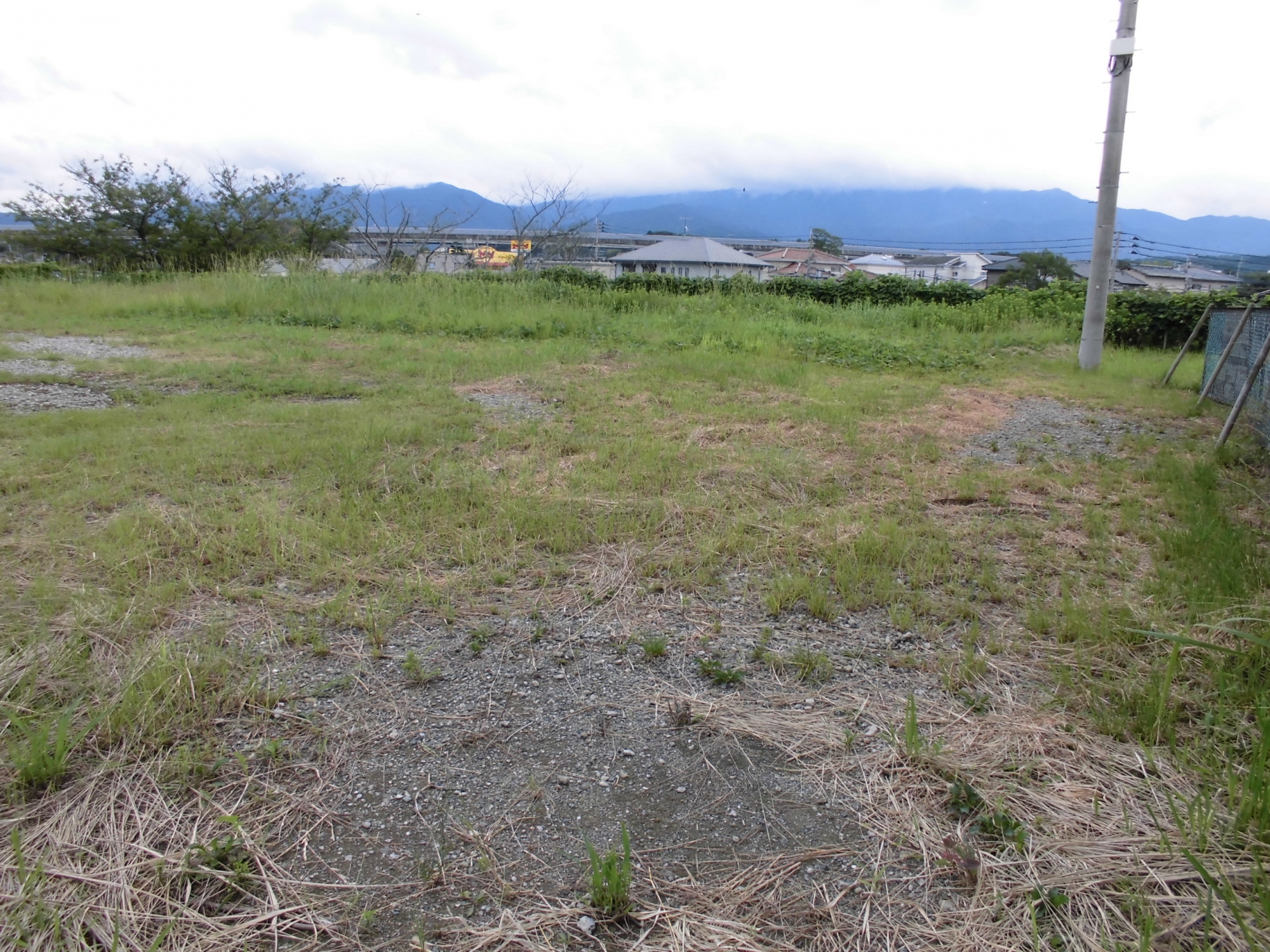 県有地内の画像２