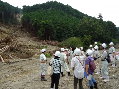 現地視察の様子