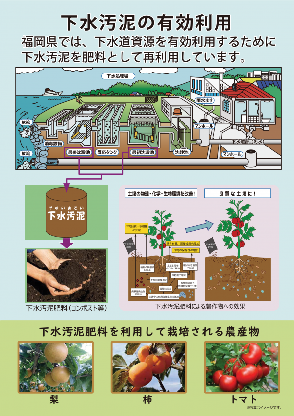 下水汚泥の有効利用