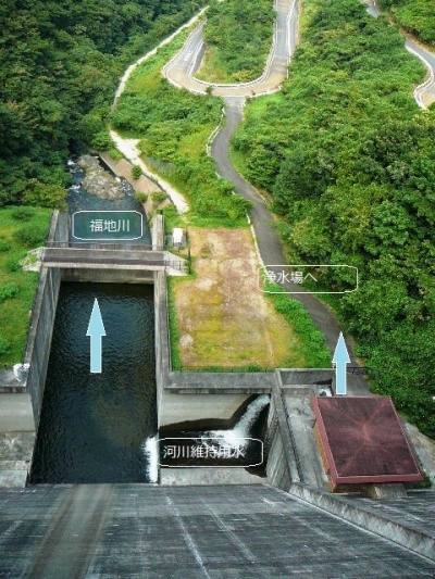 福地川への放流の様子