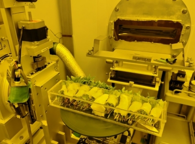 シンクロトロン光センター内の実験室においてリンドウの新芽の先端にシンクロトロン光を照射しているところ