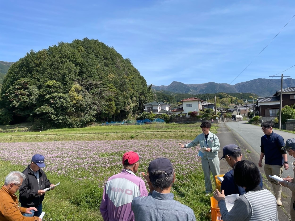 満開のレンゲほ場での講習会の様子