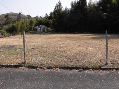 現地写真（東側２）