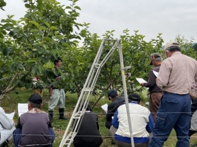 管理作業の説明を聞く生産者