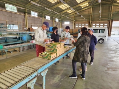 出荷目合わせ会の様子