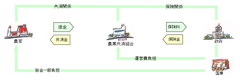 農家、組合、政府の保険関係を図で説明しています