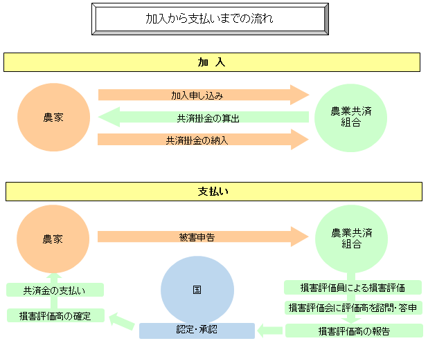 図「加入から支払いまで」