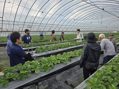 生産者間で情報交換