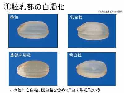 勉強会のスライドの一部