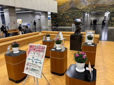 福岡県庁１階ロビーに応援花が展示されている様子