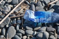 海外由来の海岸漂着物