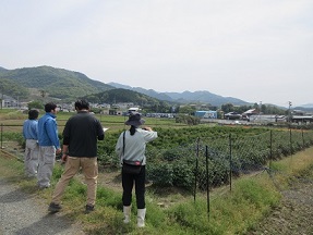 現地検討会の様子