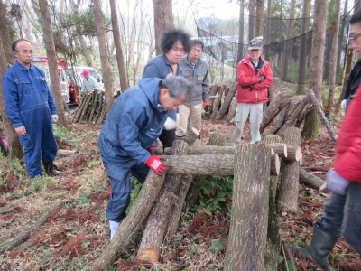 しいたけ 原木の伏せ込み 研修風景