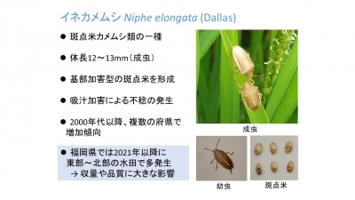 研修会資料(一部抜粋)