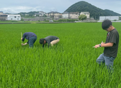 生育調査の様子