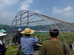 匠による現地ほ場での育苗管理指導
