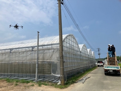 ドローン散布の様子