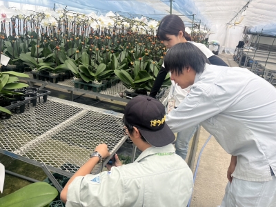 普及指導員と工業技術センター研究員が鉢花生産者に機器の設置方法を説明