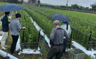 圃場巡回の様子