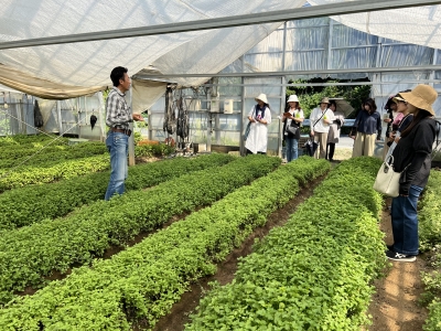 農園内にて生産状況を調査する女性農業者