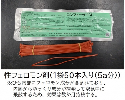 性フェロモン剤が入っている袋とその内容物