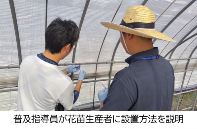 普及指導員が花苗生産者に設置方法を説明している