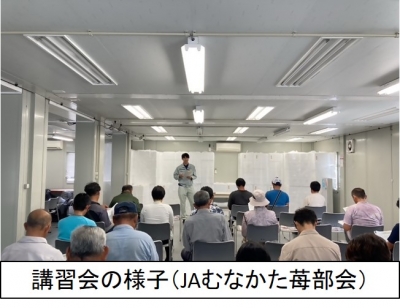 講習会の様子（JAむなかた苺部会）