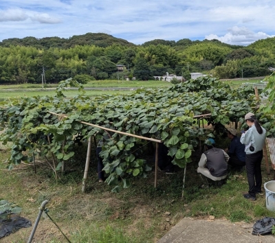 園地評価会の様子2