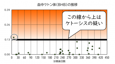 参加者に配布されたデータ