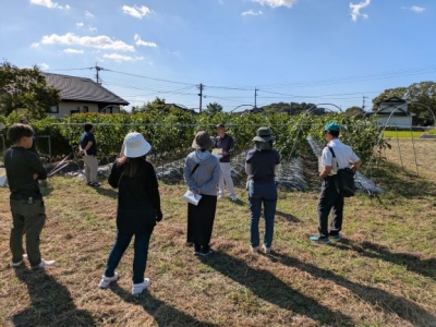 現地調査、意見交換