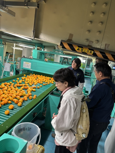 選果場見学の様子