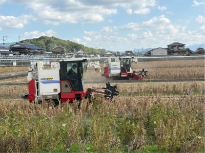 普通型コンバインによる大豆収穫