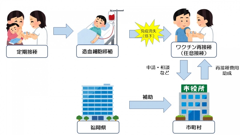 【参考 補助制度イメージ】