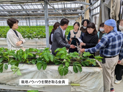 栽培ノウハウを聞き取る会員