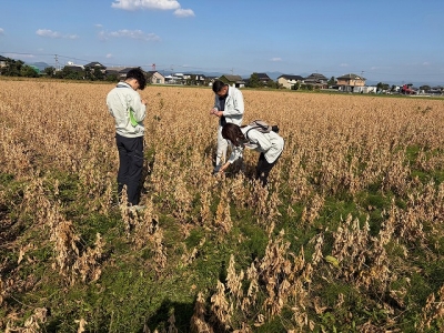 関係機関と大豆の収穫時期を確認する様子
