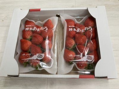 販売するイチゴ