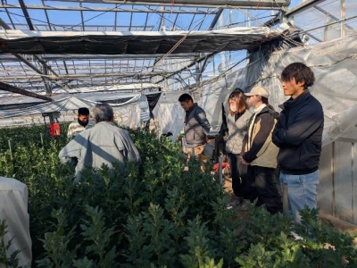 現地互評会の様子