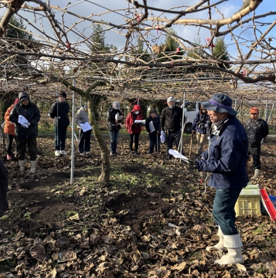 せん定の講習を受ける生産者