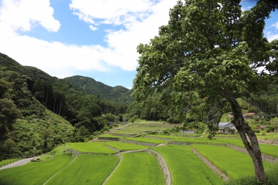 展示写真の一覧