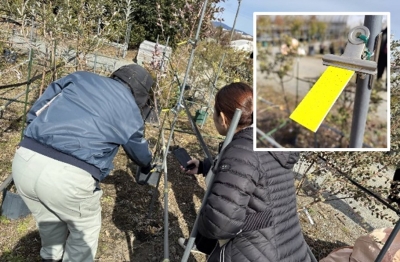 圃場内に設置した感水紙にドローン防除機から散布された水分がどのように付着しているか確認する参加者