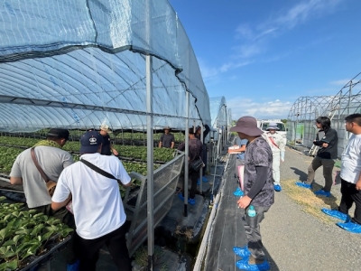 JA筑前あさくらの若手生産者が、遮熱資材を導入した育苗棚を視察している様子