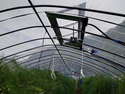 ビニールハウスに設置された後付け天窓