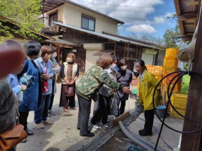 きくいもの洗浄を実演