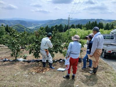 新梢管理の方法を実演している様子