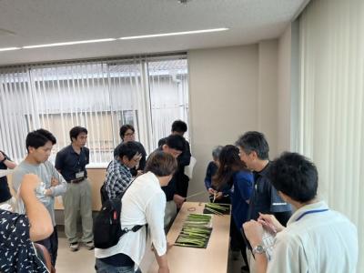 出荷規格目合わせの様子